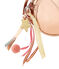Borsa bambina COPPER