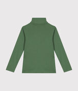 verde PALMERAIE