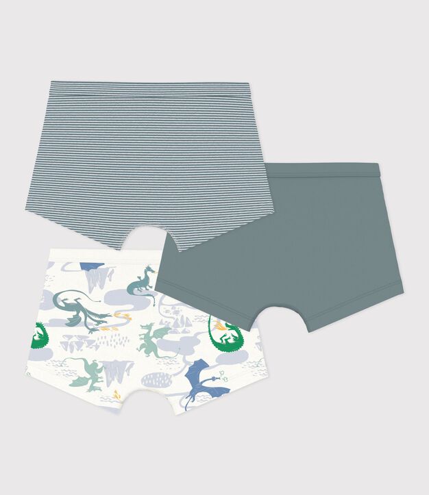 Set di boxer in cotone stampato con bordo in vita e stampa di draghi bambino multicolore