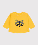 giallo DAISY