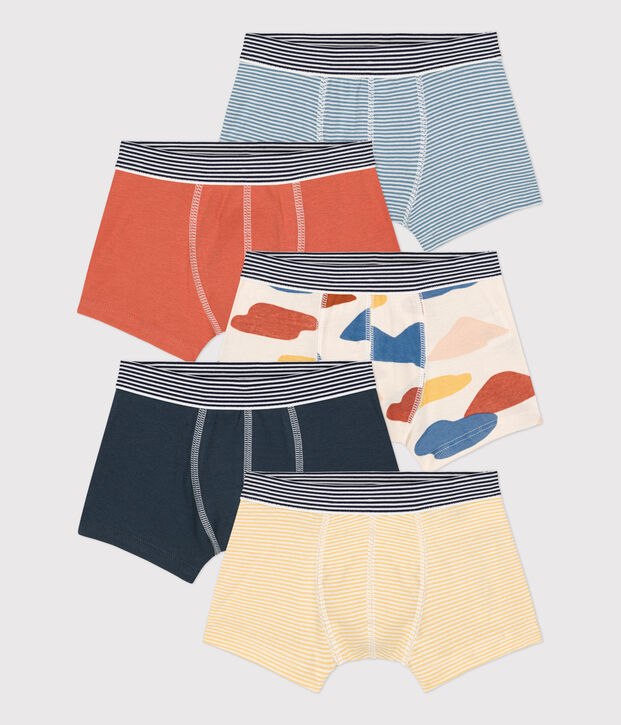 Confezione da 5 boxer bambino in cotone multicolore