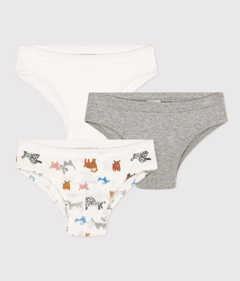 Confezione da 3 slip bambino in cotone motivo cane multicolore