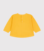 giallo DAISY