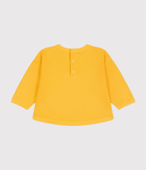 giallo DAISY