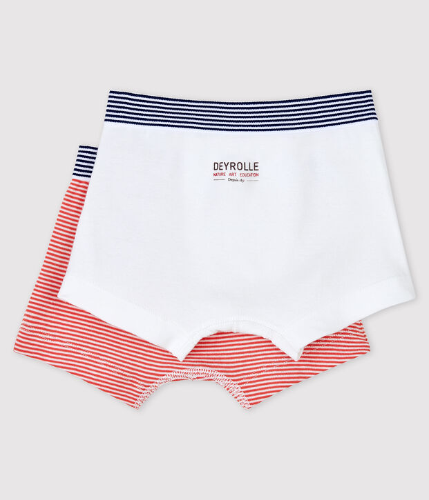 Confezione da 2 boxer bimbo Petit Bateau x Deyrolle multicolore