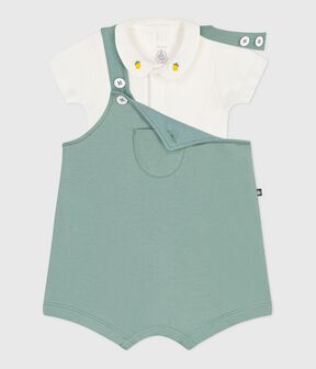 verde PAUL