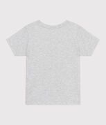 grigio BELUGA CHINE