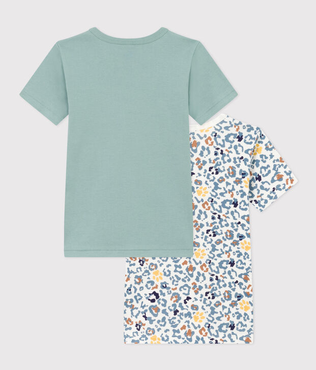 Confezione da 2 t-shirt manica corta bambino in cotone multicolore