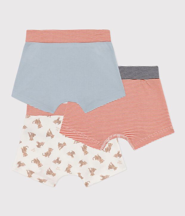 Confezione da 3 boxer leopardi in cotone bambino multicolore