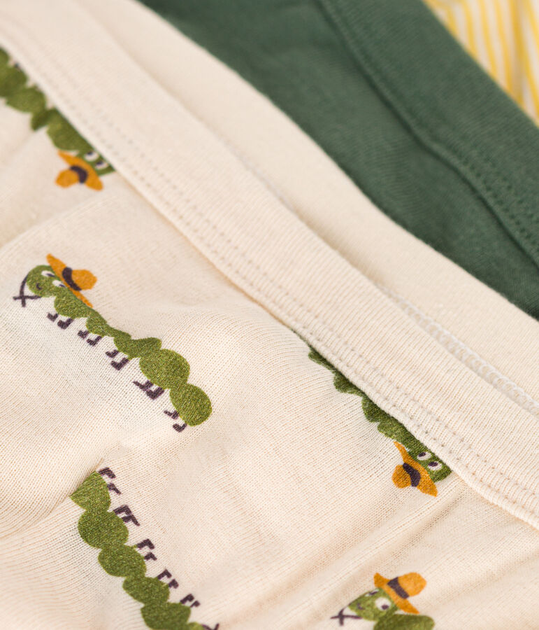 Confezione da 3 slip millepiedi in cotone bambino multicolore