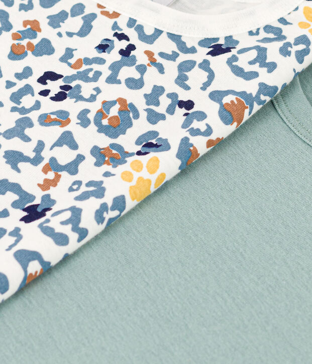 Confezione da 2 t-shirt manica corta bambino in cotone multicolore