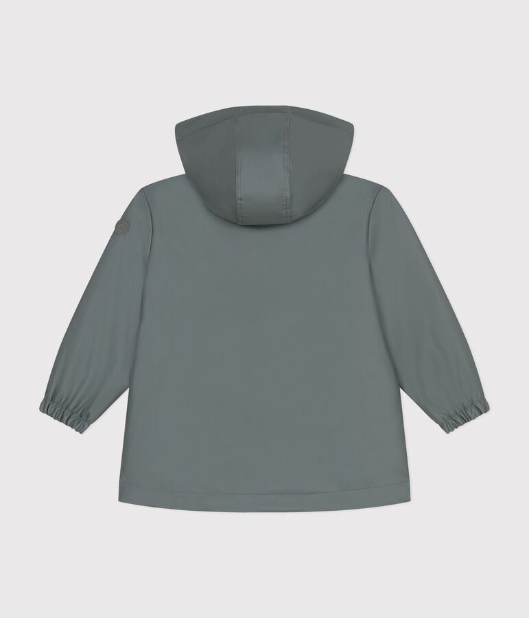 Cerata bambina verde