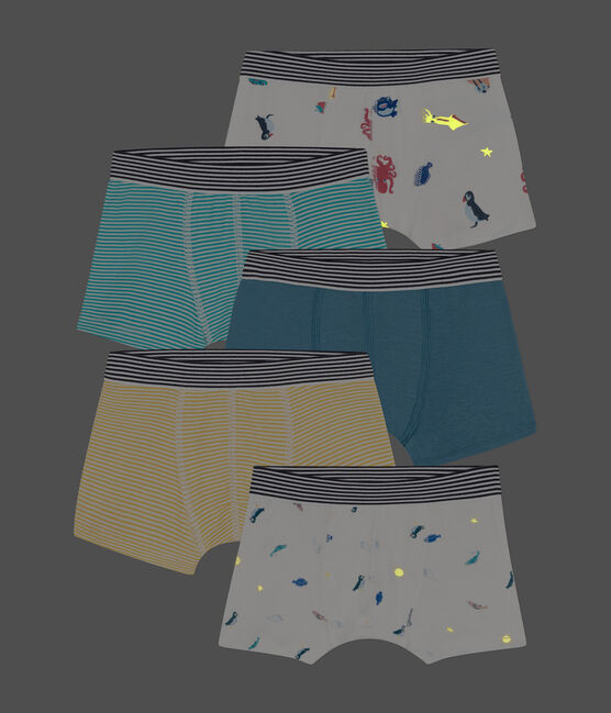 Confezione da 5 boxer in cotone bambino  variante 1