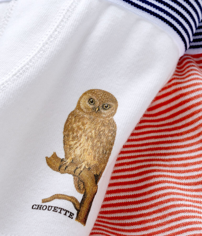 Confezione da 2 boxer bimbo Petit Bateau x Deyrolle multicolore