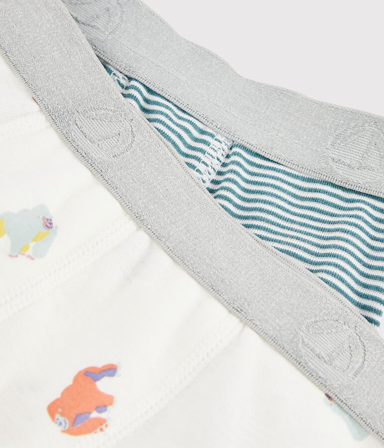 Confezione da 2 boxer fantasia scimmia bambino multicolore