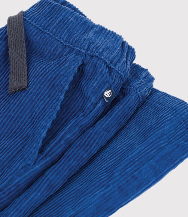 Pantaloni dritti in velluto blu