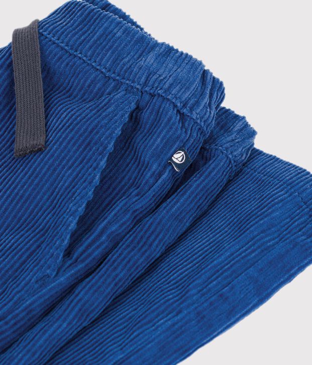 Pantaloni dritti in velluto blu