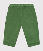 verde PALMERAIE