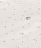 Sacco nanna neonato in cotone con stampa TOG 1 bianco MARSHMALLOW/bianco MISTIGRI