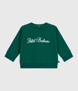 verde EVERGREEN