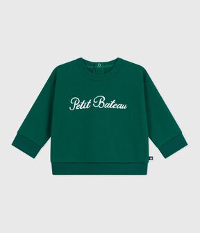 verde EVERGREEN