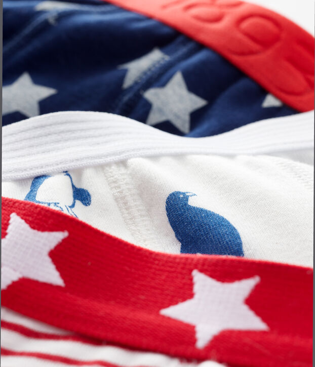 Confezione da 3 boxer fantasia bambino multicolore