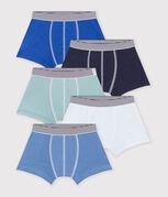 multicolore
