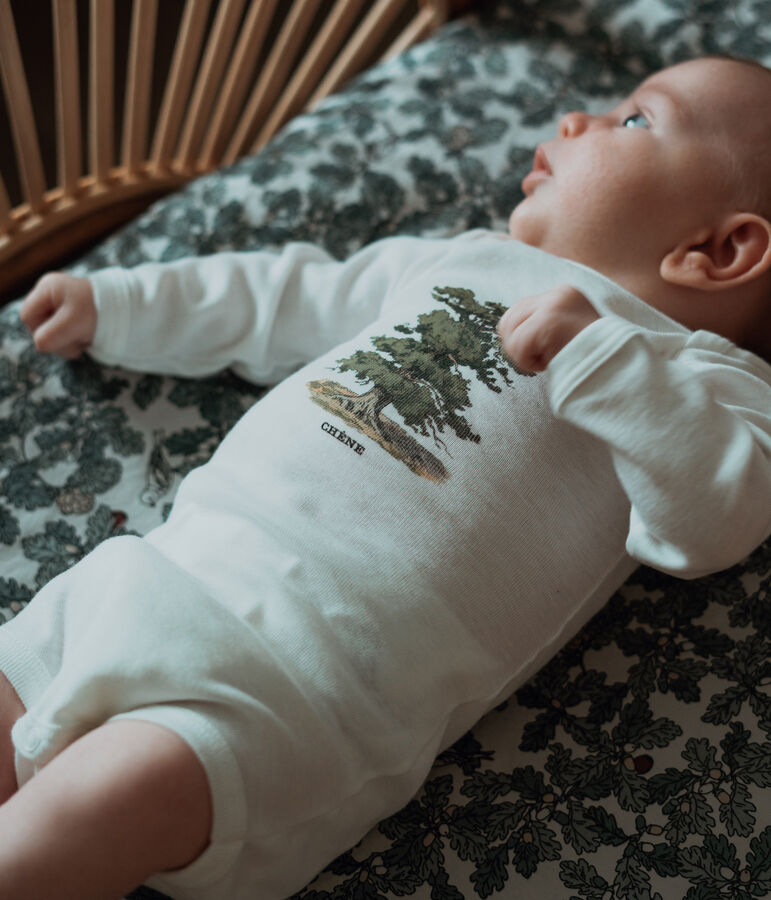 Confezione da 3 body a maniche lunghe bimbo Petit Bateau x Deyrolle multicolore