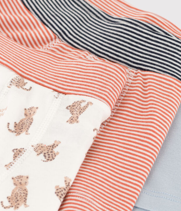 Confezione da 3 boxer leopardi in cotone bambino multicolore