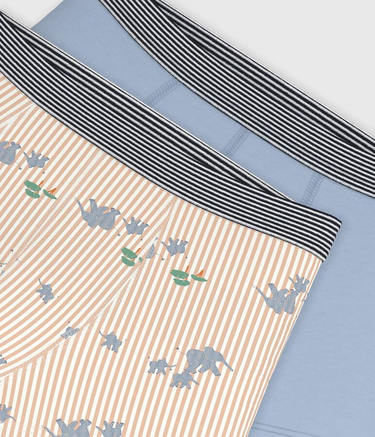 Set di boxer in cotone con stampa di elefanti bambino multicolore