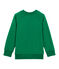 Sweat shirt enfant garçon verde PIVERT