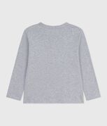 grigio FUMEE CHINE