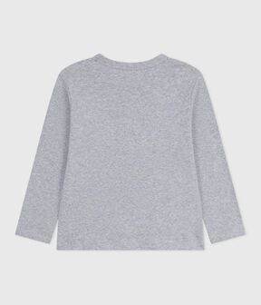 grigio FUMEE CHINE