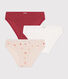 Confezione da 3 slip bambina in cotone
