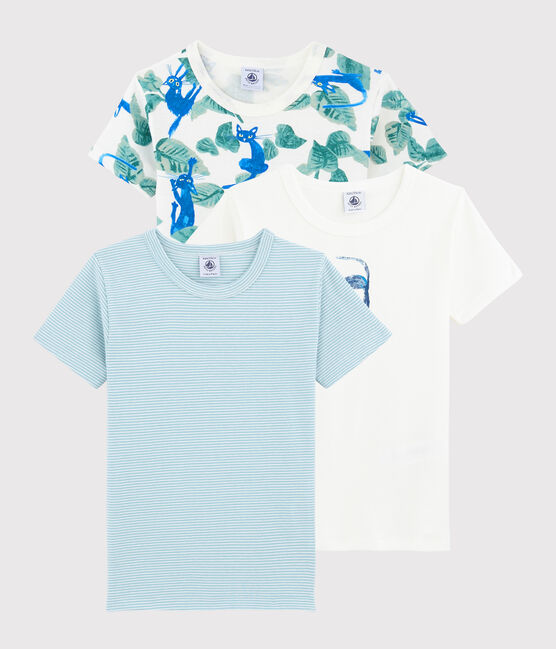 Confezione da 3 t-shirt manica corta gatti colorati bambino variante 1