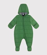verde PALMERAIE