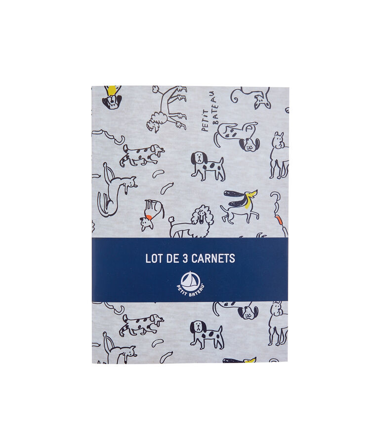 Confezione da tre carnet grigio/multicolore