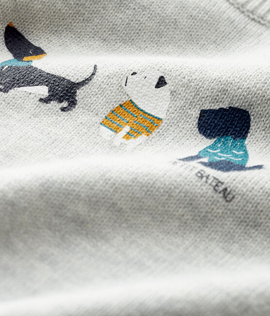 Pull con fantasia bebè maschio grigio BELUGA CHINE