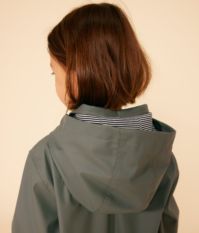 Cerata bambina verde