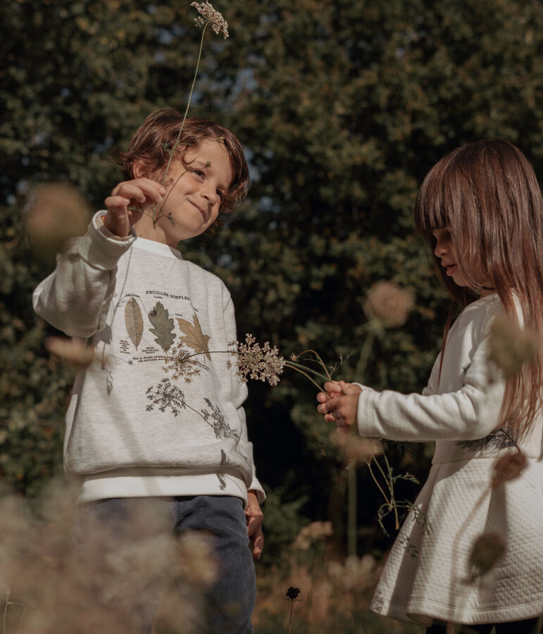 Felpa bambino Petit Bateau x Deyrolle beige