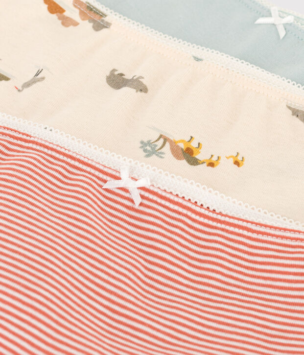 Confezione da 3 shorty bambina in cotone con animali multicolore