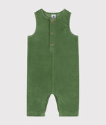 verde PALMERAIE