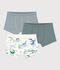 Set di boxer in cotone stampato con bordo in vita e stampa di draghi bambino multicolore