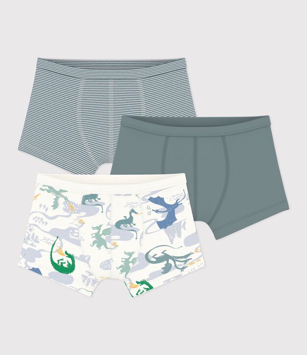 Set di boxer in cotone stampato con bordo in vita e stampa di draghi bambino multicolore