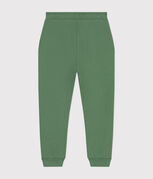 verde PALMERAIE