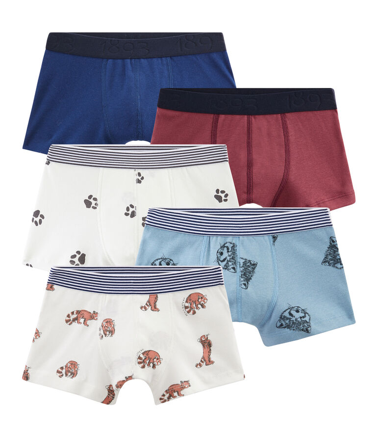 Confezione da 5 boxer bambino multicolore