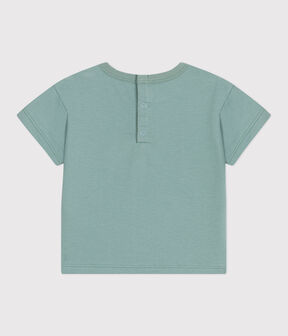 verde PAUL