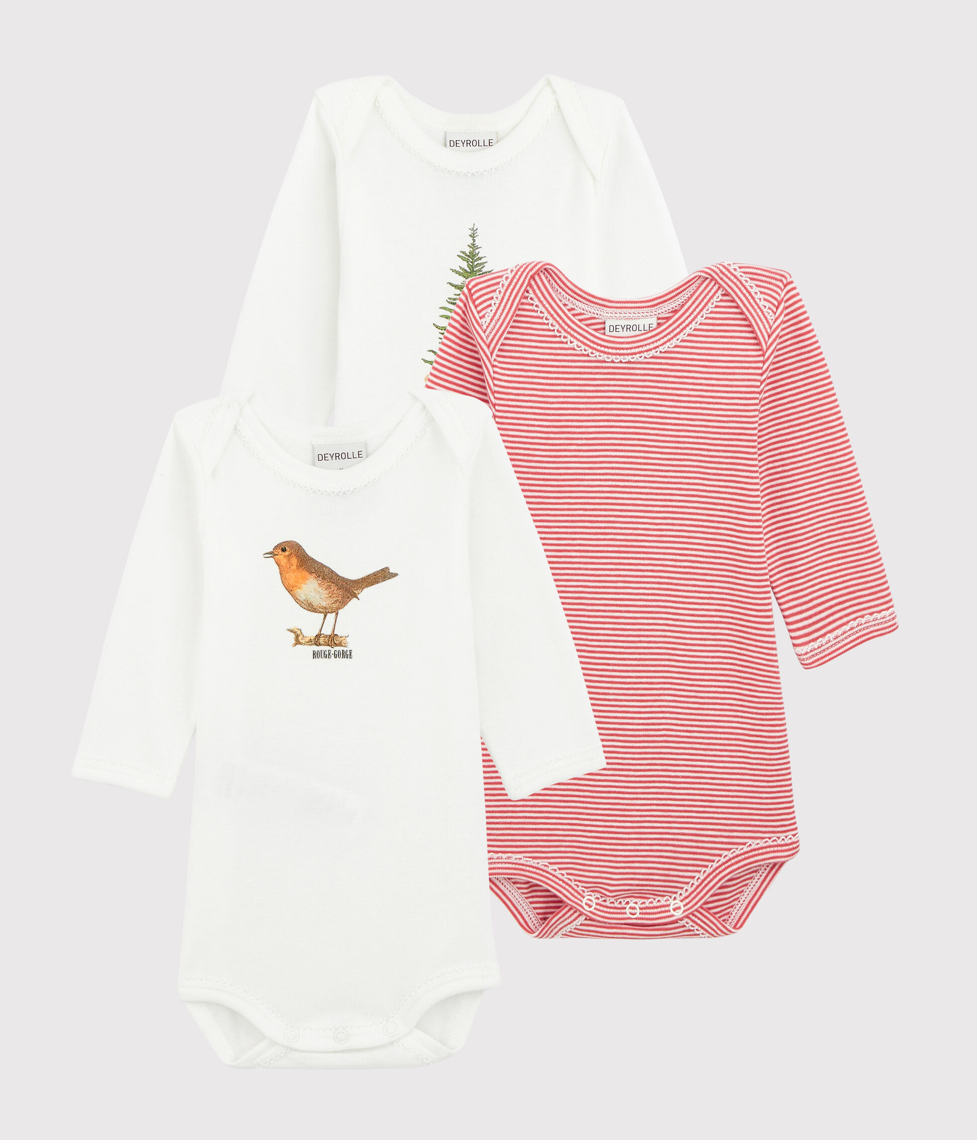 Body petit sales bateau bimba